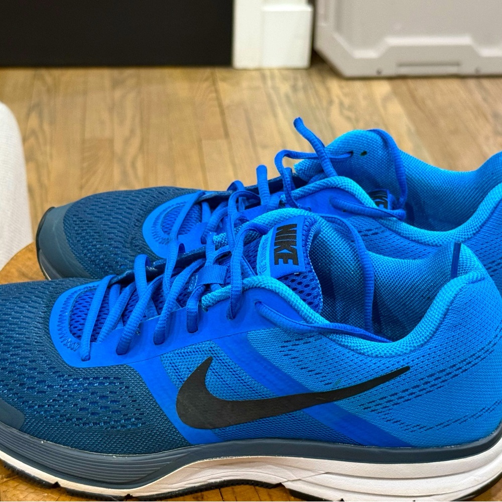 Nike Pegasus